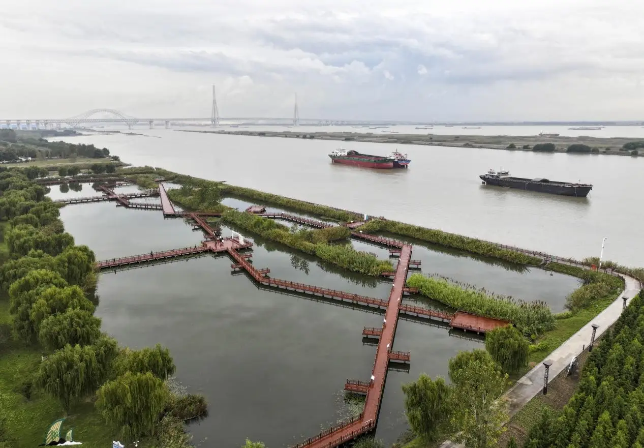 虹桥长江生态湿地与绿色廊道